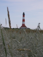 Bild: Leuchtturm von den Salzwiesen aus gesehen