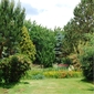 Gartenbild 3
