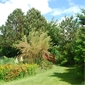 Gartenbild 5